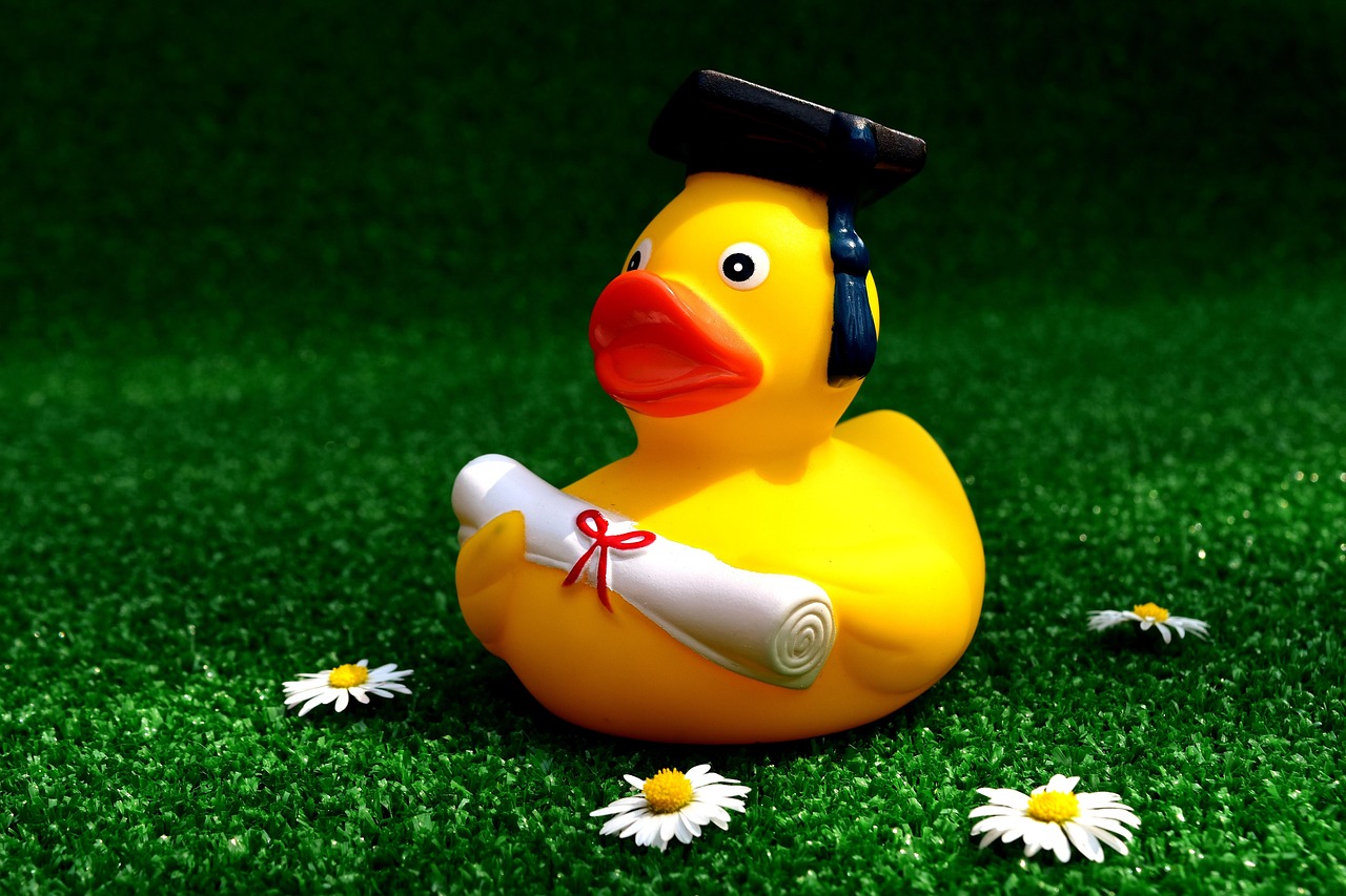 rubber duck, graduation, testing, passed, congratulation, fun, cute, rubber duck, rubber duck, rubber duck, rubber duck, rubber duck, graduation, graduation, testing